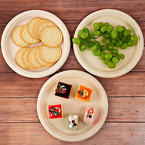 Vplus 150 Pack Compostable Disposable Paper Plates 10 inch Super Strong