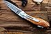 DKC Knives DKC-58-LJ-OW-DS-PC LITTLE JAY Olive Wood Pocket Clip Damascus Steel Blade Folding Pocket Knife Olive Wood Handle 4