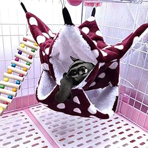 Amaca da gabbia per piccoli animali Oncpcare, amaca per aliante con zucchero a tre strati, accessori per gabbia per… Oncpcare Amaca da gabbia per piccoli animali Oncpcare, amaca per aliante con zucchero a tre strati, accessori per gabbia per…