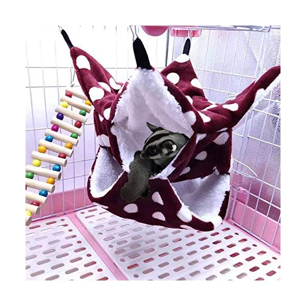 Amaca da gabbia per piccoli animali Oncpcare, amaca per aliante con zucchero a tre strati, accessori per gabbia per… Oncpcare Amaca da gabbia per piccoli animali Oncpcare, amaca per aliante con zucchero a tre strati, accessori per gabbia per…