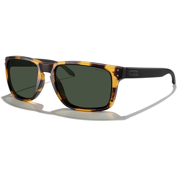 Amazon.com: Gafas de Sol DRAGON DR THE REMIX LL ION 428 Bryan