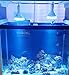 ABI LED Aquarium Light Bulb, 23W Blue and White PAR38
