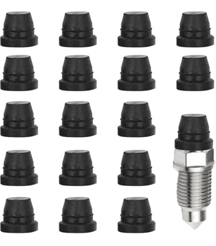 Dorman Brake Bleeder Screw Cap 10 Piece at