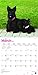Scottish Terriers 2019 12 x 12 Inch Monthly Square Wall Calendar, Animals Dog Breeds