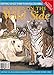 Hooked on the Wild Side: Everything You Need to Know To Hook Realistic Animals (Rug Hooking Magazine's Framework) by 