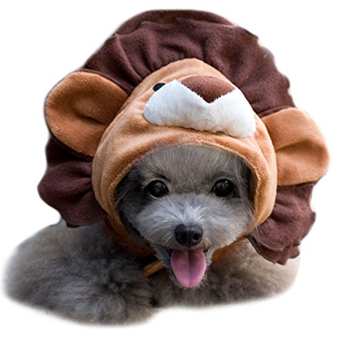 Alfie Pet by Petoga Couture - Qeno Lion Hat for Party Halloween Special Events Costume (for Small Dogs & Cats)