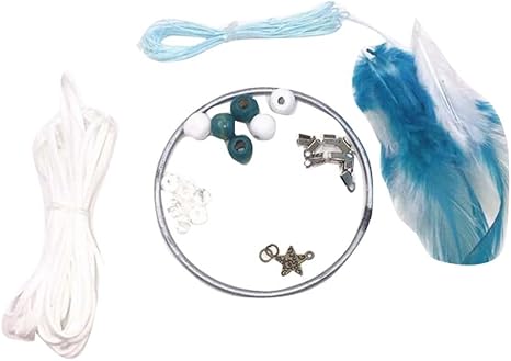 Amazon Co Jp 2 Pcsドリームキャッチャーdiyクラフトキット意味のあるギフト手作りの装飾品 F1 ホーム キッチン