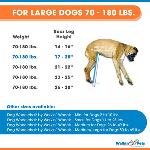 Coodeo Dog Lift Harness Pet Support Rehabilitation Sling Lift Adjustable Padded Breathable Straps For Old Disabled Joint Injuries Arthritis Loss Of Stability Dogs Walk Extra Small Pricepulse