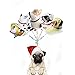 Walking Animal Balloons 12 Pieces Pet Dog Balloons Balloon Toys Air Walkers For Kids Gift Birthday Party Decor by Cool Bank