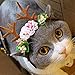 BWOGUE Pet Antlers Headband Holiday Christmas Halloween Costume for Dogs Cats Hair Accessories