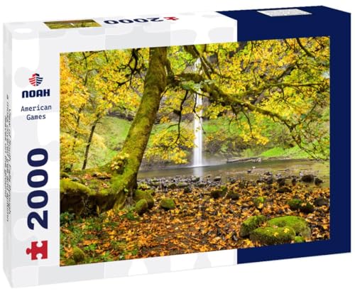 Noah Jigsaw Puzzle View of South Falls Through a Moss Covered Tree and Autumn Leaves on The Ground 2000 Pieces