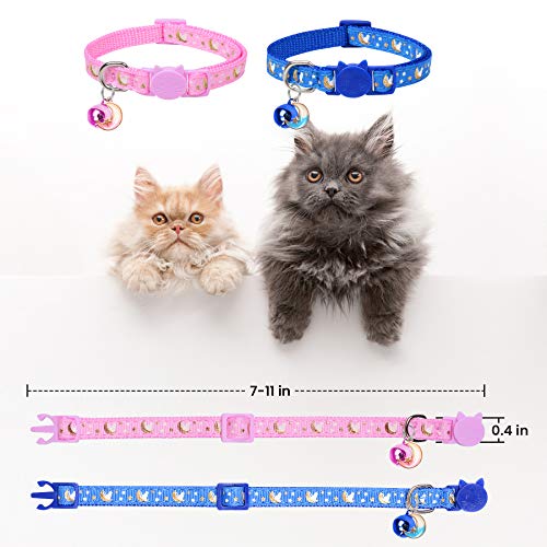 boy cat collars
