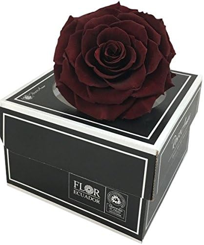 Preserved roses Bonita color Cho-01