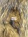 Faux Fake Fur Animal Long Pile Fabric - Wolf - 60
