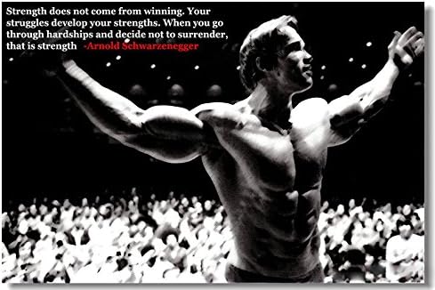 Arnold Schwarzenegge Bodybuilding Motivational Art Silk Poster 24x36inches