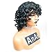 Yviann Fluffy Wavy Black Synthetic Hair Wig Short Curly Wigs Natural Looking Halloween Costume Wigs for Black Women