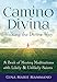 Camino Divina―Walking the Divine Way: A Book of Moving Meditations with Likely and Unlikely Saints