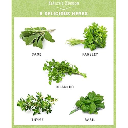 Patio, Lawn & Garden, Gardening & Lawn Care, Indoor Gardening & Hydroponics, Germination Kits