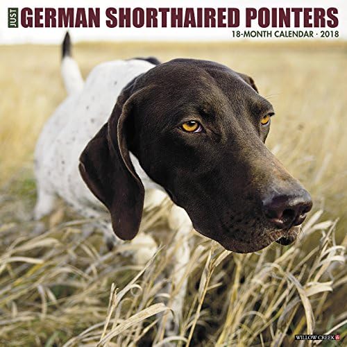 Just German Shorthaired Pointers 2018 Calendar Calendar – Wall Calendar, June 28, 2017