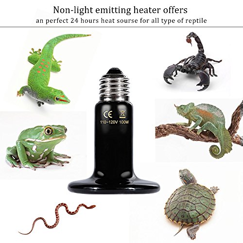 5 Zacro+Reptile+Thermometer+Infrared+Non+light