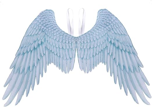 Amazon Co Jp Sefod 天使 羽 天使の翼 コスチューム用小物 コスプレ 黒の悪魔 2カラー 妖精 エンジェル 羽根 仮装 衣装 小物 小道具 ハロウィン レディース ブラック スカイブルー 大人 75x105 Cm ホーム キッチン