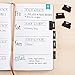Erin Condren Designer Accessories - Monthly Adhesive Tabs, Neutral Metallic (Set of 12). Great for Organizing and Sorting in Planners, Agendas, or Notebooks by Month