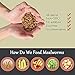 Euchirus 11LBs Non-GMO Dried Mealworms,High-Protein Larvae Treats Feed Molting Supplement for Birds Hens Ducks etc,Large Bulk Meal Worms Birds Chicken Food