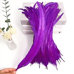 THARAHT 20PCS Rooster Coque Tail Feathers Bulk