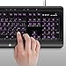 Aluratek Large Print Tri-Color Illuminated USB Keyboard model (AKBLED01F)