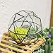 NCYP 8 inches Glass Geometric Dome Terrarium, Triangular Pentagon 32-Sides Indoor Succulent Air Plants Terrarium, Balcony Miniature Decor Centerpiece, No Plants Included