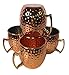 BonBon Luxury Moscow Mule Copper/Nickel Mug Cup 4 Pack New (Copper)