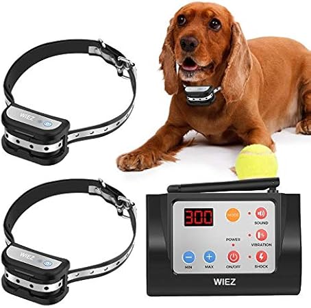 wireless dog fence for 2 dogs