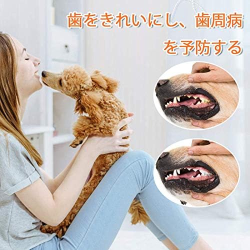 Amazon クマちゃん ワンちゃん 犬おもちゃ 噛むおもちゃ 犬ペットおもちゃ ストレス発散 ムズムズ解消 清潔 歯磨き 丈夫 耐久性 小型犬 中型犬 大型犬に対応 犬のおもちゃ コットン ひっぱり 仔犬 プードル パグ ダックス ポメ 紫 ピンク 白色 Petvivi 噛む