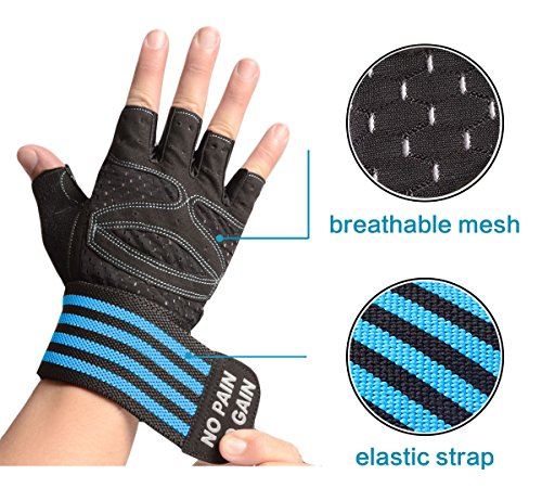 image for Century Star Weight Lifting Gloves for Gym to Support Wrist and Protec