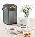 Zojirushi CD-WBC30-TS Micom 3-Liter Water Boiler and Warmer, Silver Brown