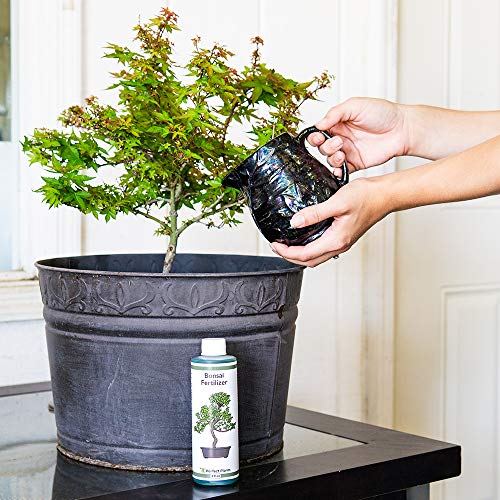 Perfect Plants Liquid Bonsai Fertilizer 8oz. of Premium Concentrated