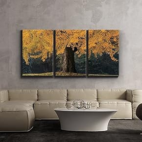 3 Piece Canvas Print - Contemporary Art, Modern Wall Art - Beautiful Yellow Autumn Tree - Giclee Artwork - Gallery Wrapped Wood Stretcher Bars - Ready to Hang 16"x24"x3 Panels