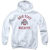 LOGOVISION The Ohio State University Official Buckeyes Logo Youth Kids Boy/Girls Pull-Over Hoodie Sweatshirt