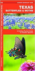 Texas Butterflies Amp Moths A Folding Pocket Guide To