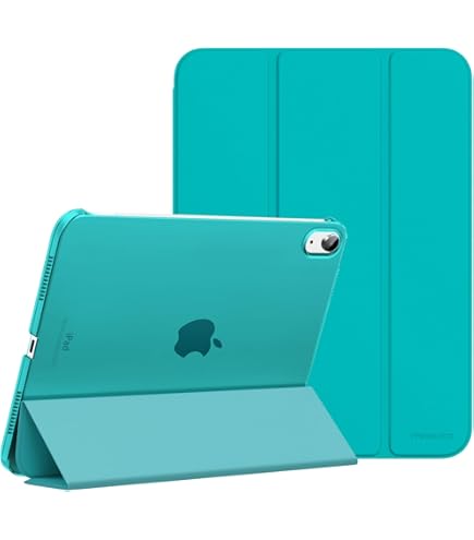 Amazon.com : Apple 2022 iPad (10.9-inch, Wi-Fi + Cellular, 256GB