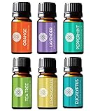 Pure Body Naturals Pure Therapeutic Grade Top 6 Essential Oil Basic Sampler Kit - 6/10 Ml (Lavender, Tea Tree, Eucalyptus, Lemongrass, Orange, Peppermint)