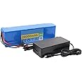 48V 20Ah Lithium Ion Battery for Ebike & Scooter - High Power 1000W 13S3P Battery Pack with BMS, Charger & XT60 Connector - Perfect for Electric Bicycles, Long-Lasting Performance