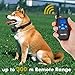 Vicvol Dog Training Collar