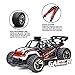Demaxis 10 Mph RTR Rc Remote Control Electric Cars Trucks, 2.4 Ghz 2wd Rc Dune Desert Buggy, All Terrain Vehicles Truggy (1 16, Red)