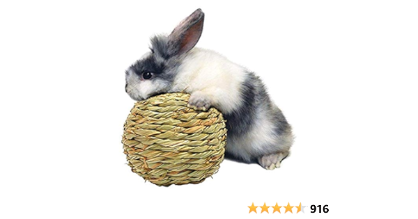 rabbit playing with ball