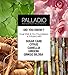 Palladio Dual Wet and Dry Foundation with sponge and Mirror, Squalane Infused, Apply Wet for Maximum Coverage or Dry for Light Finishing and Touchup, Minimizes Fine Line, All day Wear, Ivory Myrrh