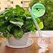 bouti1583 House Plant Watering Globes, Automatic Self-Watering System, Set of 4 PVC Balls, 10.3