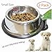 Whippy Stainless Steel Dog Bowl for Small,Medium,Large Pets Set of 2 (Silver, Small,6oz)