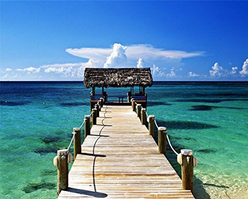 フレームレス 40x50cm 油絵 数字キットによる絵画 塗り絵 手塗り Diy絵 デジタル油絵 ビーチ