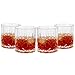 Lily's Home Acrylic Double Old Fashioned Whiskey Tumbler - Set of 4 Premium Indoor / Outdoor Whisky Scotch Tumblers - Shatterproof, Reusable, Dishwasher Safe